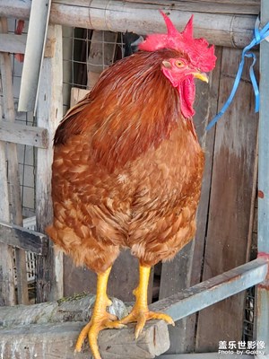 【春光里】+無限好