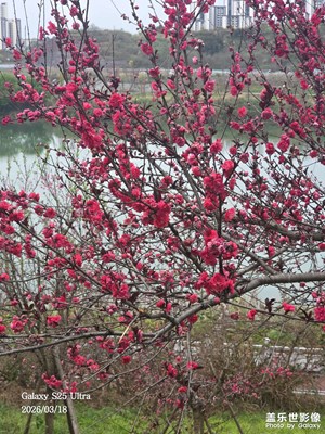 【人間三月】河邊隨拍