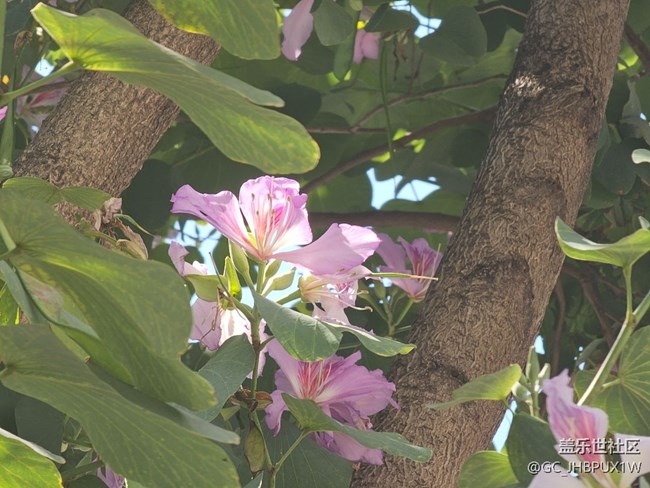 【一人行漫游錄】沿路風(fēng)景