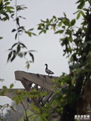 【人間三月】+公園隨拍