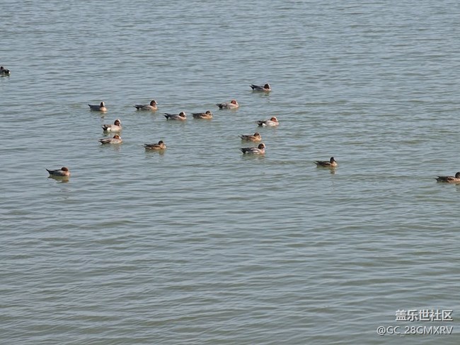 【一人行漫游錄】三月城市行