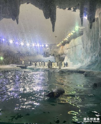 【人間三月】雪地探索