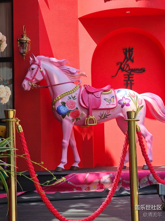 【一人行漫游錄】樹(shù)蔭斑駁