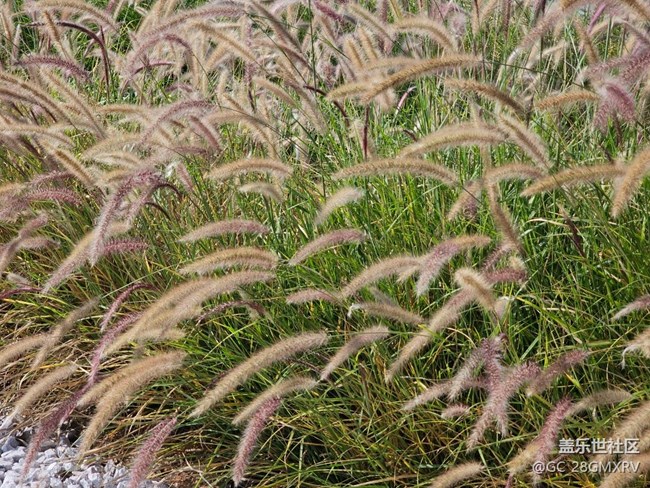 【一人行漫游錄】三月城市行