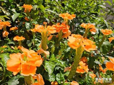 【人間三月】好時光