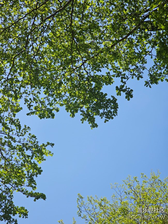 【一人行漫游錄】沿路風(fēng)景