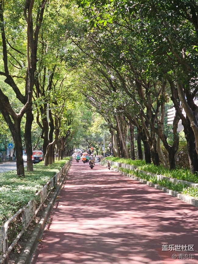 【一人行漫游錄】樹(shù)蔭斑駁