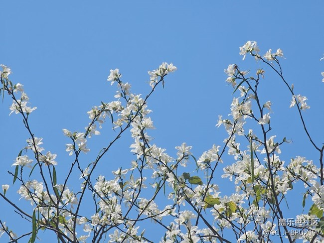 【一人行漫游錄】沿路風(fēng)景