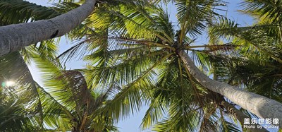 【人間三月】陽光三月