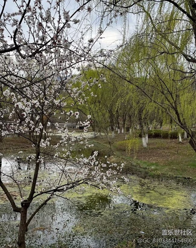 【折疊屏手機里的春天】美麗山村