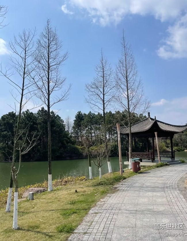 【折疊屏手機里的春天】濕地公園