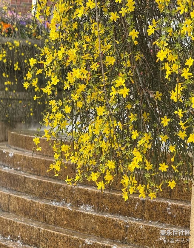 【折疊屏手機(jī)里的春天】大自然