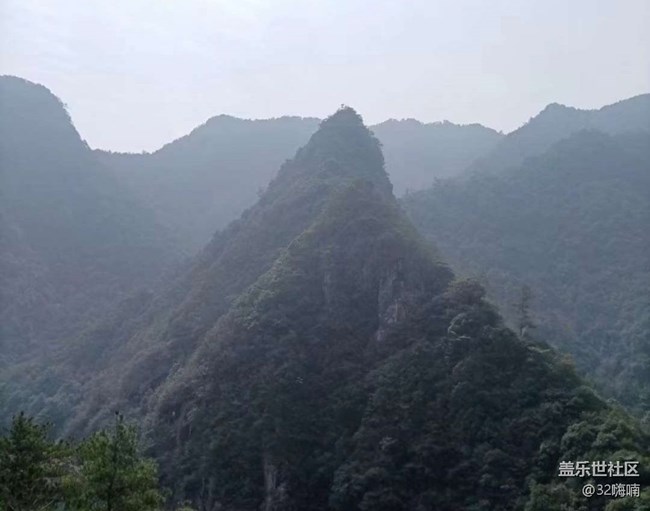 【折疊屏手機里的春天】美好春光