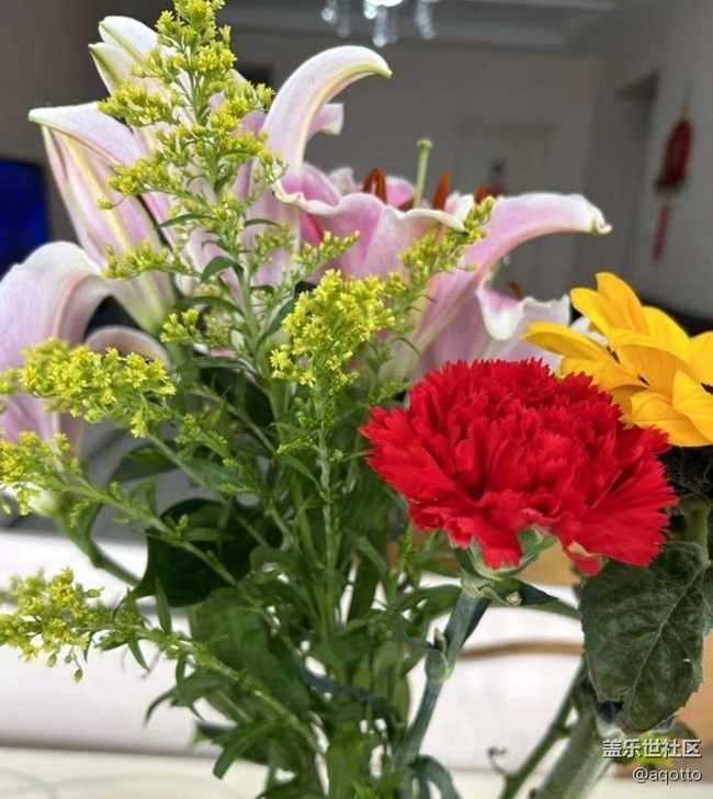 【折疊屏手機里的春天】春天的味道