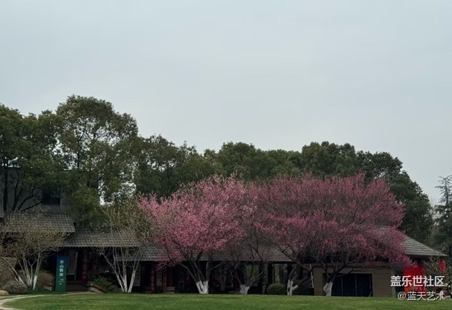 【折疊屏手機(jī)里的春天】大自然