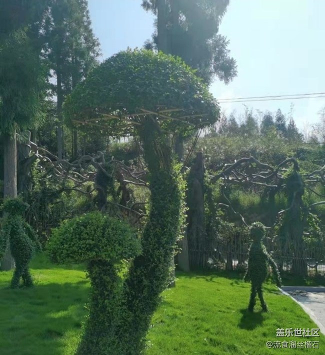 【折疊屏手機(jī)里的春天】山頂游玩