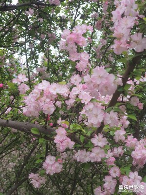 【春光里】晨光里