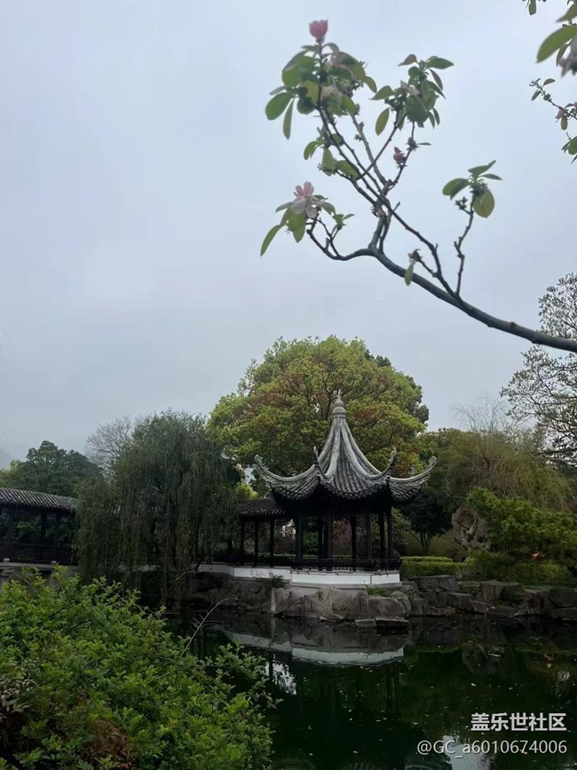 【折疊屏手機里的春天】美好自然