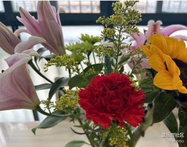 【折疊屏手機里的春天】春天的味道