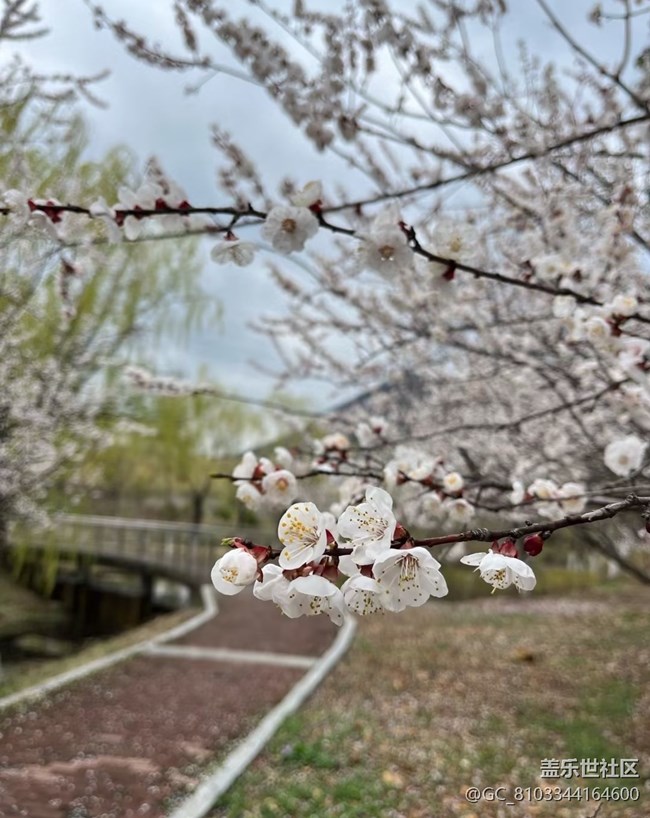 【折疊屏手機里的春天】美麗山村