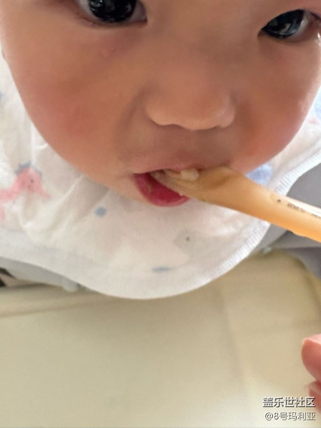 【春味正當(dāng)時】餛飩