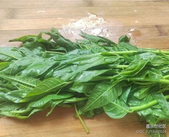 【春味正當(dāng)時】曬曬午餐