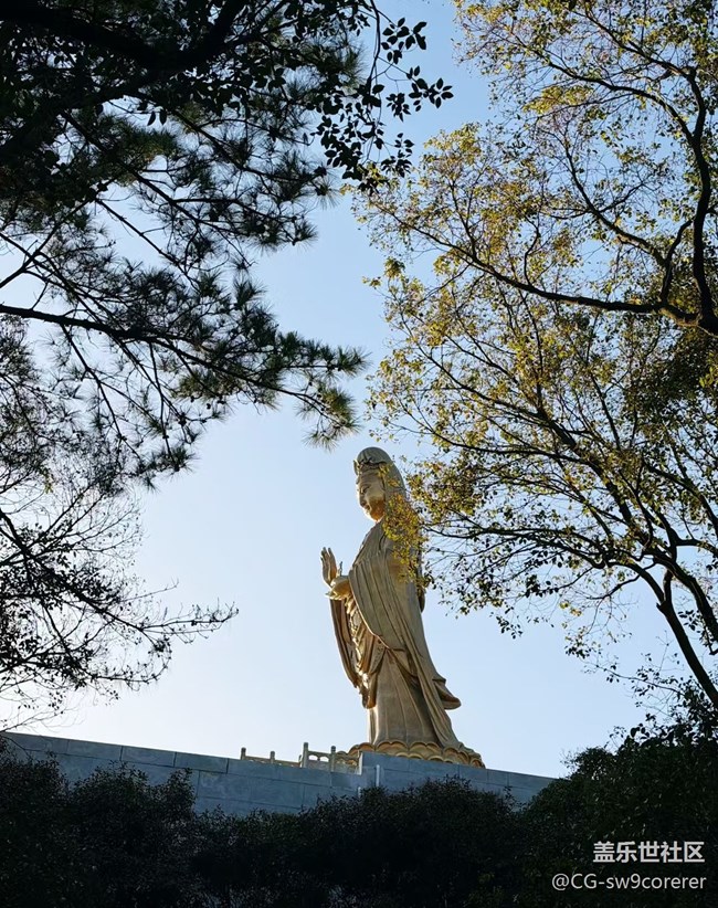 【折疊屏手機(jī)里的春天】普陀山