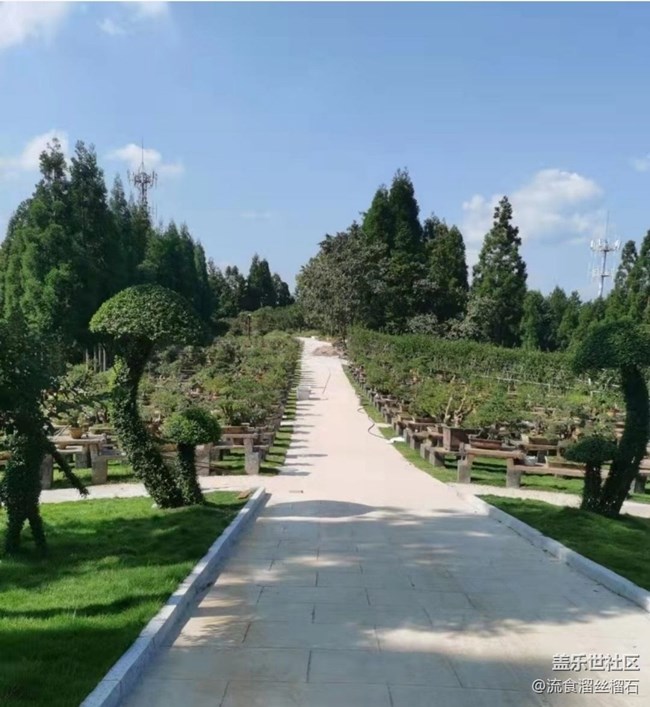 【折疊屏手機(jī)里的春天】山頂游玩