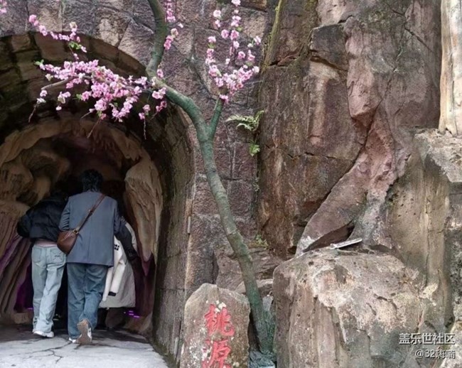 【折疊屏手機里的春天】美好春光