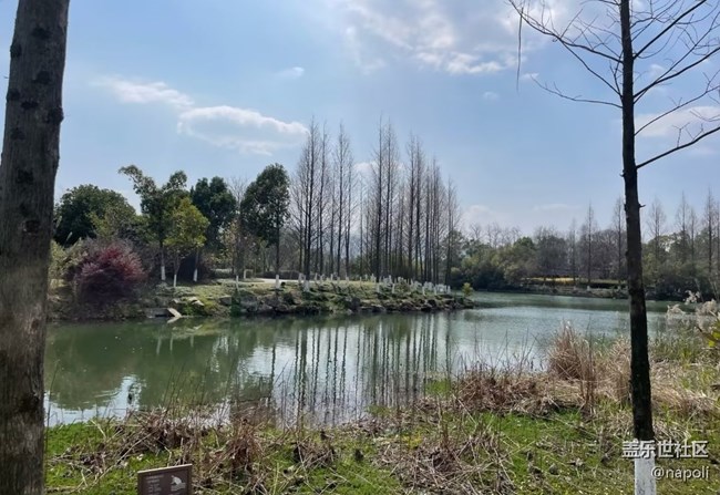 【折疊屏手機里的春天】濕地公園