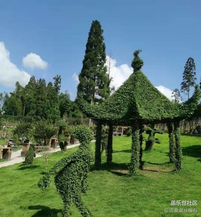 【折疊屏手機(jī)里的春天】山頂游玩