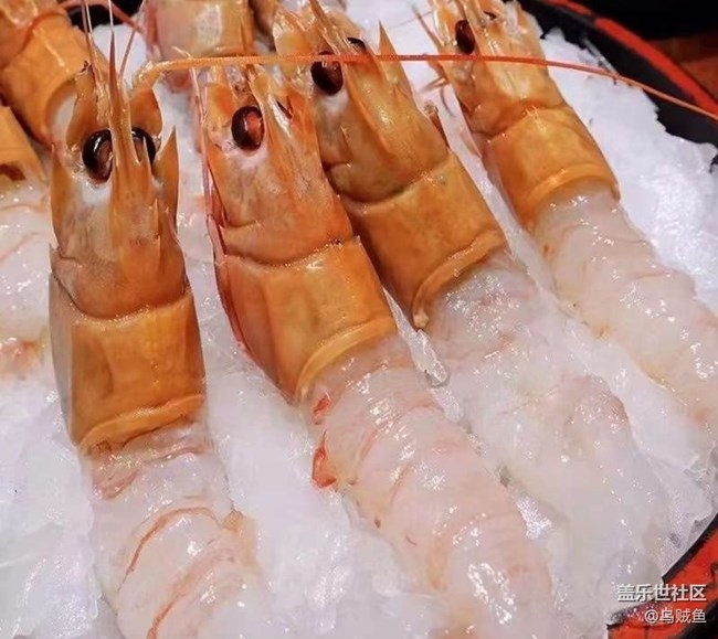 【春味正當(dāng)時(shí)】大鰲蝦