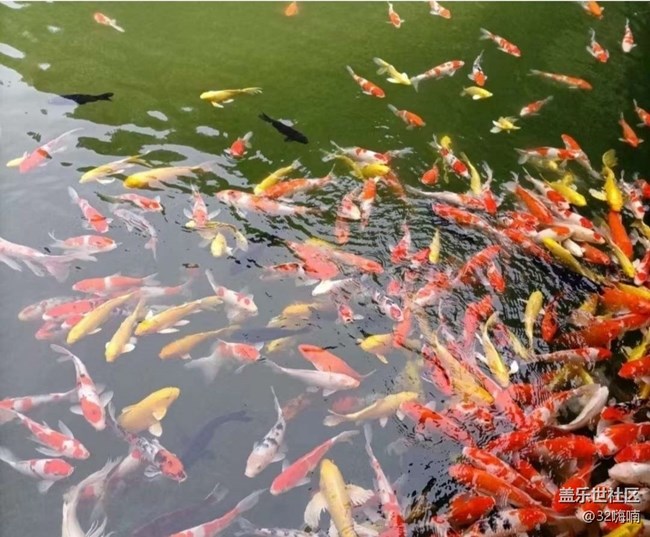 【折疊屏手機里的春天】美好春光