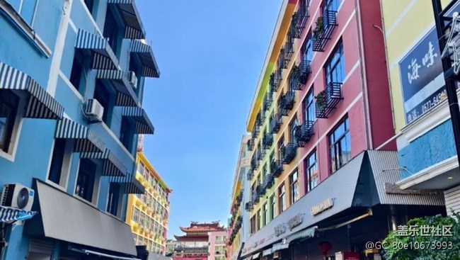 【春日限定】看風(fēng)景