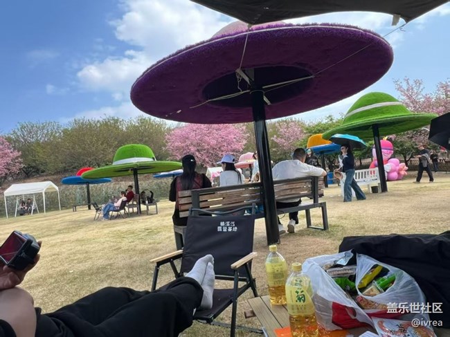 【春日限定】休閑的時(shí)光