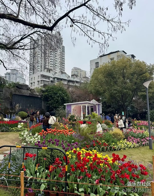 【春日限定】賞花去