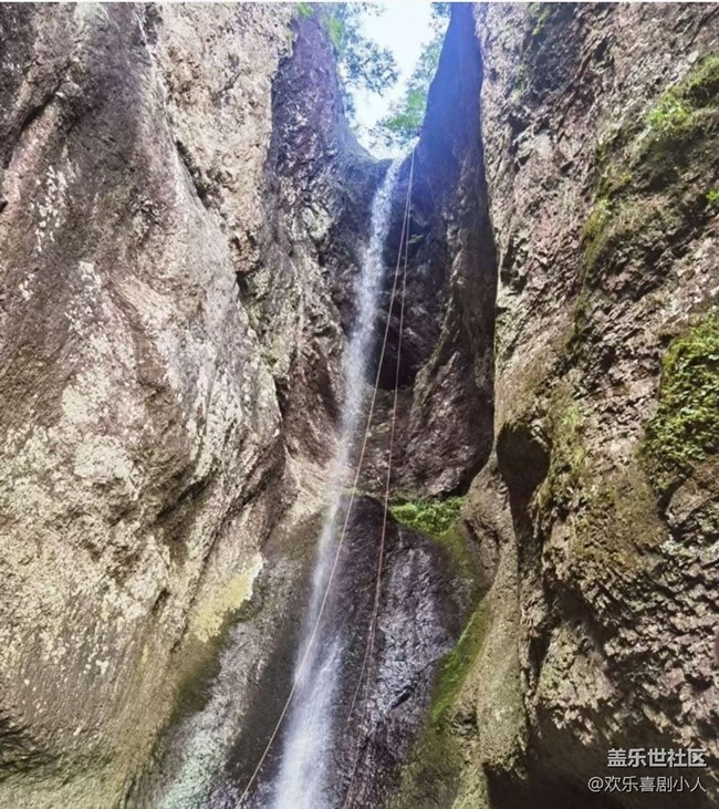 【春日限定】春季戶外