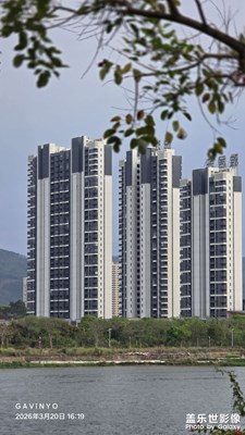 【春光里】江邊隨拍