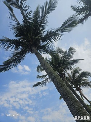 【春光里】海邊漫步