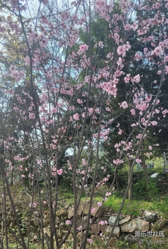 【折疊屏手機(jī)里的春天】春光正好