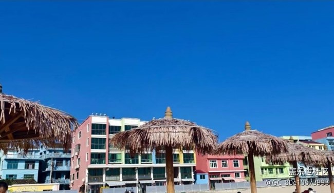 【春日限定】看風(fēng)景