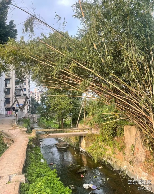 【折疊屏手機里的春天】鄉(xiāng)村春景