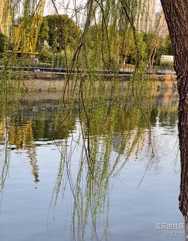 【折疊屏手機(jī)里的春天】花紅柳綠