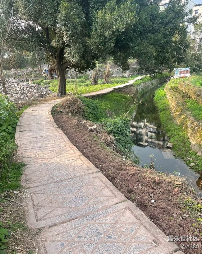 【折疊屏手機里的春天】鄉(xiāng)村春景