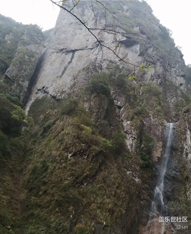 【春日限定】周末游玩