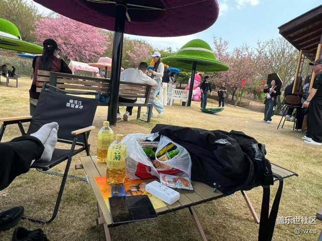 【春日限定】休閑的時(shí)光