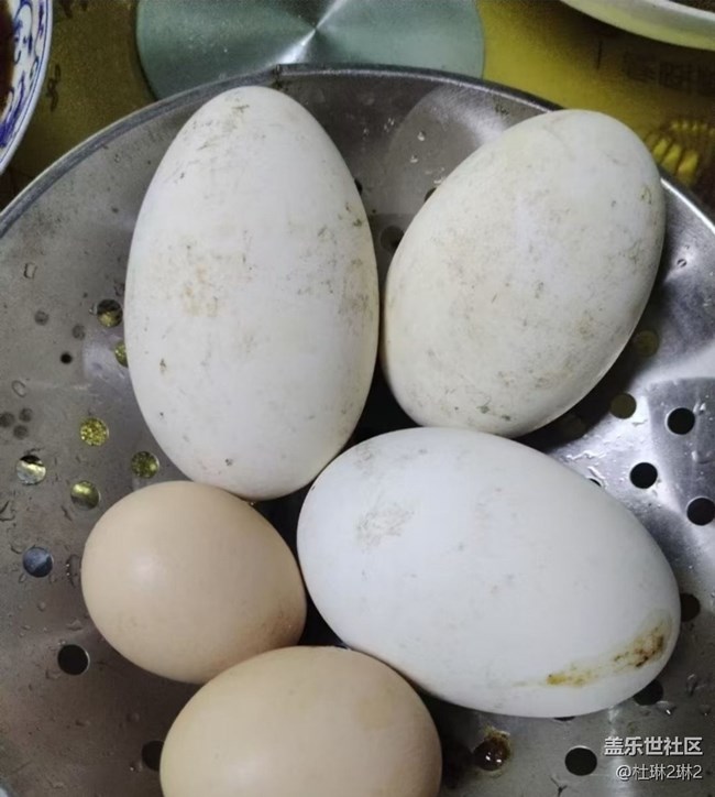 Screenshot_20260320_203013_Samsung Members.jpg