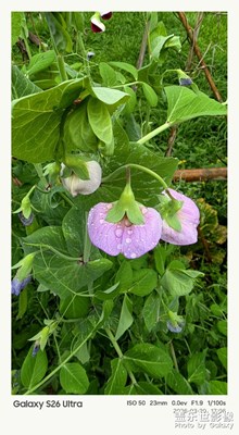 還是廣東南方粵北連山縣神仙洞