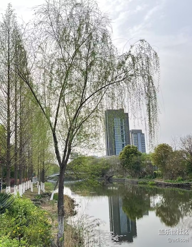 【折疊屏手機(jī)里的春天】萬物復(fù)蘇