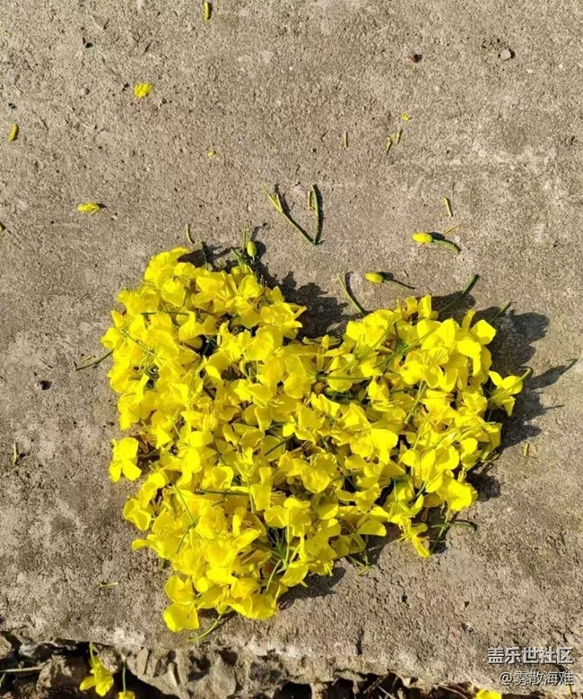 【折疊屏手機(jī)里的春天】花開(kāi)茂盛